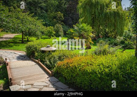 Giardino in stile giapponese con sentieri, piccoli ponti di legno e vegetazione lussureggiante nei giardini di Powerscourt, Enniskerry, Wicklow, Irlanda Foto Stock