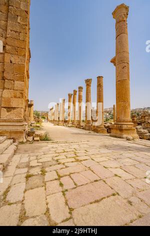 La vista lungo Cardo Maximus nelle rovine romane di Jerash Foto Stock