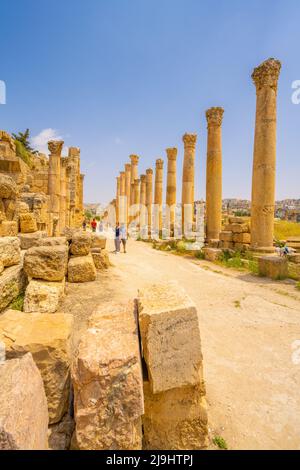 La vista lungo Cardo Maximus nelle rovine romane di Jerash Foto Stock