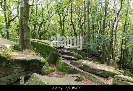 Muschio coperto rocce tra gli alberi a Felsenmeer nella Foresta Palatinato, Germania Foto Stock