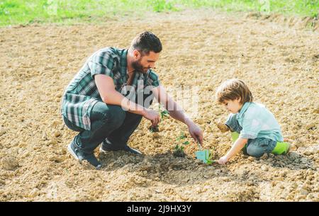 Il figlio del ragazzino e un padre piantano un albero. Padre e figlio giardinaggio. Uomo di famiglia che pianta l'albero al parco. Foto Stock