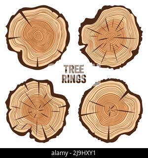 Tagli di tronco di albero tondo con crepe, segato pino o fette di quercia, legname. Legname tagliato da poco, legno. Struttura di legno marrone con anelli di albero. Schizzo disegnato a mano Illustrazione Vettoriale