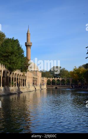 Balıklıgöl (o piscina di Abramo, lago Halil-Ür Rahman), è una piscina nel sud-ovest del centro della città di Şanlıurfa, Turchia conosciuta in ebraico e islamico Foto Stock