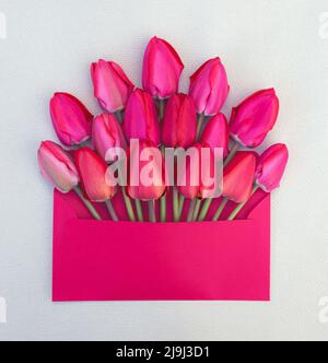 delicato bouquet di tulipani rosa e rosso in busta Foto Stock