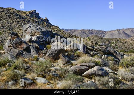 Le uniche formazioni rocciose alte e colate punteggiano il paesaggio desertico nell'arena disseminata di massi che è il Joshua Tree National Park, nel deserto di Mojave, California Foto Stock
