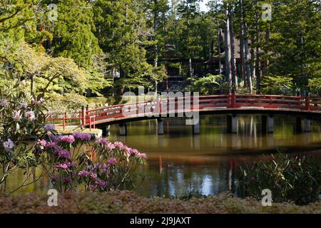 Prefettura di Wakayama, Giappone, 2022/03/05 , il monte Kōya (Kōya-san) è un grande insediamento di templi nella Prefettura di Wakayama, Giappone, a sud di Osaka. In t Foto Stock