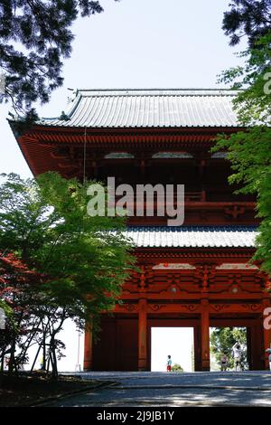 Prefettura di Wakayama, Giappone, 2022/03/05 , il monte Kōya (Kōya-san) è un grande insediamento di templi nella Prefettura di Wakayama, Giappone, a sud di Osaka. In t Foto Stock