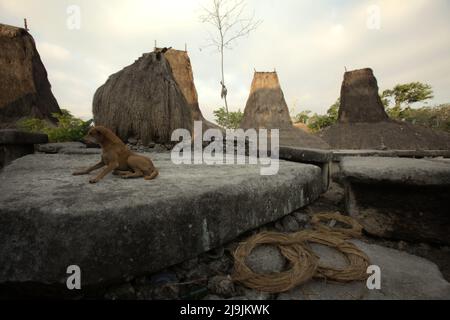 Tombe megalitiche nel villaggio tradizionale di Tarung a Soba Wawi, Loli, Waikabubak, Sumba occidentale, Nusa Tenggara orientale, Indonesia. Foto Stock