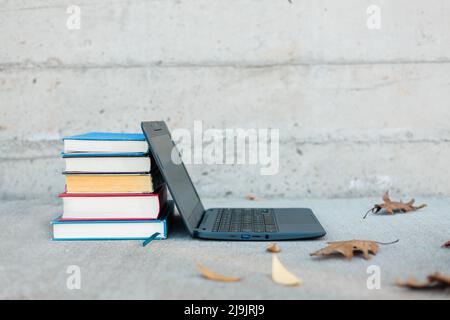 Libri accatastati su un notebook con foglie di caduta intorno ad esso. Immagine educativa per la scuola online. Foto Stock
