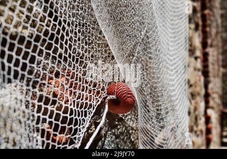 Parte di rete da pesca con galleggiante arancione appeso alla parete, Foto Stock