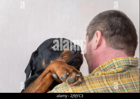 Un uomo adulto cuddles con un cane nero su uno sfondo beige. Uomo con taglio corto e capelli graffati. Una femmina Rottweiler cane mette la sua zampa sul suo Foto Stock