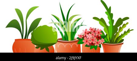Piante e fiori interni. Ancora vita on line. In pentole di ceramica. Belle erbe fatte in casa. Isolato su sfondo bianco. Stile divertente Cartoon. Vettore. Illustrazione Vettoriale