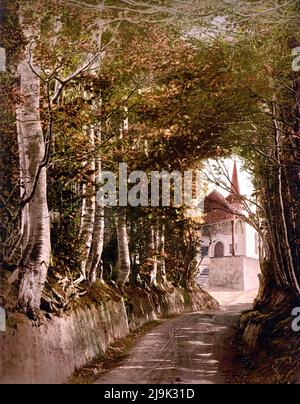 Cappella di Tell vicino al Lago di Lucerna, la corsia attraverso i boschi vicino a Küssnacht am Rigi, che mostra la cappella, Schwyz, Svizzera 1890. Foto Stock