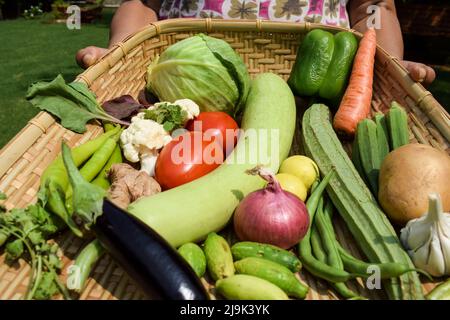 La tenuta femminile che serve e festeggia la settimana di Nutrizione Nazionale osservata nel mese di settembre. Fattoria fresco biologico mix verdure. Varietà di verdure indiane desi Foto Stock