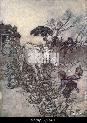 La sua mucca sarebbe andare via o ottenere tra i cabbages dal libro ' RIP Van Winkle ' di Washington Irving, 1783-1859; Illustrato da Arthur Rackham, 1867-1939 Data di pubblicazione 1919 Editore New York Doubleday, Page 'RIP Van Winkle' è una breve storia dell'autore americano Washington Irving, pubblicata per la prima volta nel 1819. Segue un villager olandese-americano in America coloniale chiamato RIP Van Winkle che incontra misteriosi Dutchmen, imbibisce il loro liquore e si addormenta nelle Catskill Mountains. Si risveglia 20 anni dopo in un mondo molto mutato, dopo aver perso la Rivoluzione americana. Foto Stock