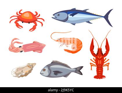 Diversi pesci o animali marini cartoon set di illustrazione. Granchio, aragosta, ostrica, pesce, tonno, gamberi, muselli, salmone e gamberi isolati su bianco Illustrazione Vettoriale