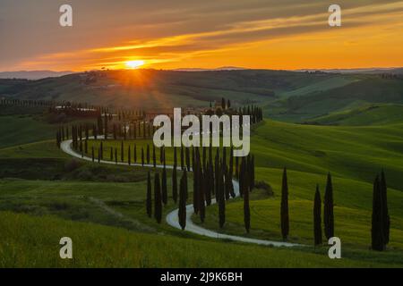 Spettacolare tramonto sul bellissimo paesaggio delle Crete Senesi, Toscana. Foto Stock