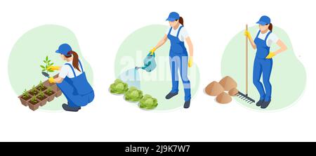 Giardinieri isometrici, agricoltori e lavoratori che si occupano del giardino, coltivando prodotti agricoli. Illustrazione Vettoriale