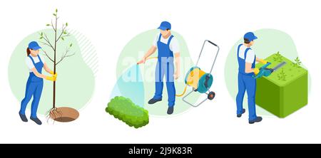 Giardinieri isometrici, agricoltori e lavoratori che si occupano del giardino, coltivando prodotti agricoli, innaffiare un orto, piante da frutto Illustrazione Vettoriale