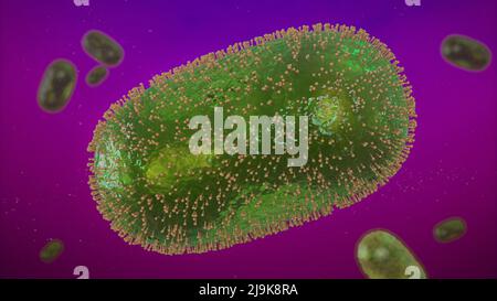 Virus Monkeypox, closeup di patogeni microscopici, malattia zoonotica infettiva (resa microbiologica 3D) Foto Stock