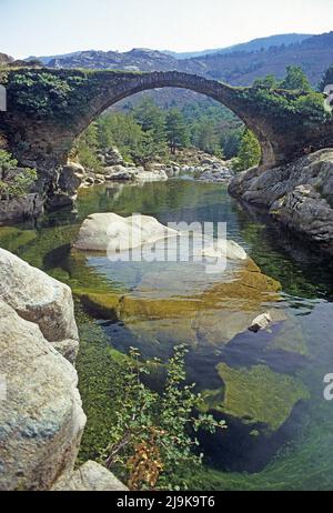 Vecchio ponte in pietra genovese nella valle di Niolu, Calacuccia, Corsica, Francia, Mar Mediterraneo, Europa Foto Stock