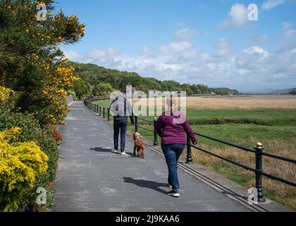 Prendere il cane per una passeggiata lungo il vuoto 'Seawide' Promenade a Grange-over-Sands, Cumbria, Regno Unito Foto Stock