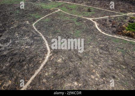 Deforestazione della foresta amazzonica. Pezzo di terra bruciato a terra. Ambiente, ecologia, concetti climatici. Foto Stock