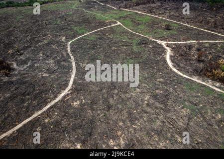 Deforestazione della foresta amazzonica. Pezzo di terra bruciato a terra. Ambiente, ecologia, concetti climatici. Foto Stock