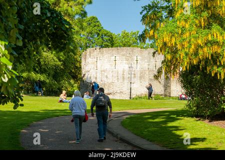 Multangular Tower in Museum Gardens in primavera, York, Inghilterra. Foto Stock