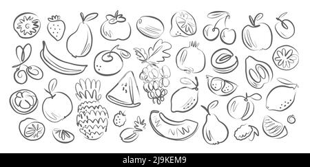 Frutta e Berries Doodles disegnati a mano. Insieme di stili di schizzo. Cibo biologico, vegano, illustrazione vettoriale fattoria Illustrazione Vettoriale