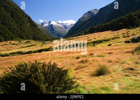 Siberia Valley, Gillespie Pass, Mount Aspiring National Park - Isola del Sud della Nuova Zelanda. Foto Stock