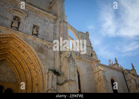 Facciata laterale della Cattedrale di Palencia, Spagna. Stile gotico e pietra bianca. I dettagli della sua architettura sono apprezzati. Foto Stock