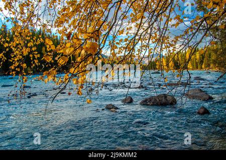 Lago Kanas in Cina Xinjiang Foto Stock