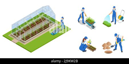 Giardinieri isometrici, agricoltori e lavoratori che si occupano del giardino, coltivando prodotti agricoli. Filari di piante che crescono all'interno di una grande serra industriale Illustrazione Vettoriale