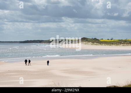 Northumberland spiaggia, vista in tarda primavera della gente che cammina sulla spiaggia sabbiosa in Alnmouth Bay sulla costa Northumberland, Alnmouth, Inghilterra, Regno Unito Foto Stock