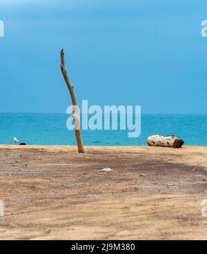 Palo in legno e legno sulla spiaggia deserta, Spiaggia di Piscinas, Sardegna, Italia Foto Stock