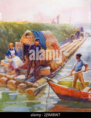 vintage, antiquariato, archivio, antico, disegno, stampa, incisione, taglio del legno, disegno, disegno, pittura, mappa,illustrazione, immagine, vecchio, storia, storico, storico, precoce, Foto Stock