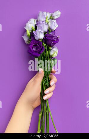 Belle donne mani che tengono fiori su sfondo viola Foto Stock