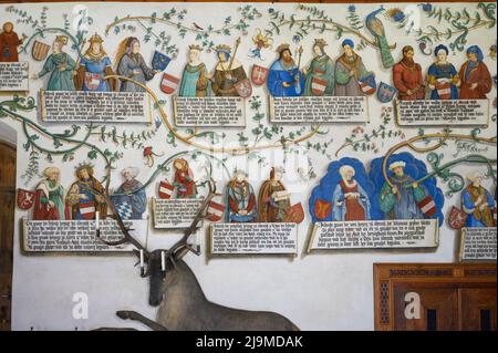 Albero genealogico del castello di Tratzberg in Tirolo Foto Stock