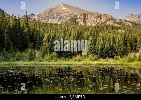 Piccolo laghetto lungo il Glacier Creek Trail nel Rocky Mountain National Park Foto Stock