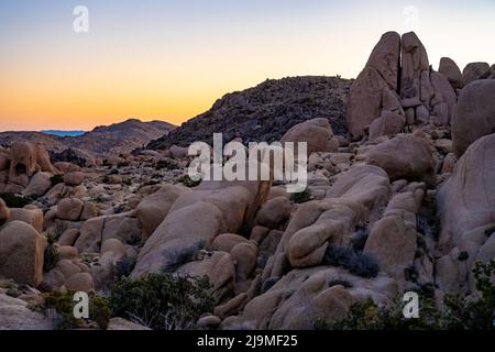 Sunrise al Split Rock Trail nel parco nazionale di Joshua Tree Foto Stock