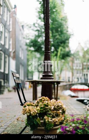 Piccolo tavolo in legno con sedia e fiori in vaso sul marciapiede lastricato vicino al canale stretto che scorre nel quartiere residenziale di Amsterdam in giorno nuvoloso Foto Stock