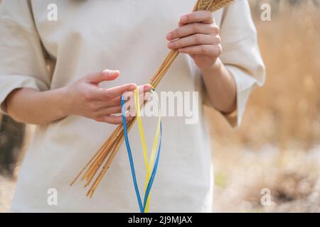 Donna anonima in abiti casual in piedi in natura con mazzo di spikelets di grano legato con nastri bandiera ucraino blu e giallo Foto Stock