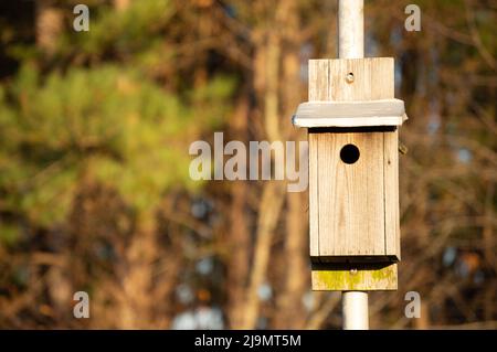 Primo piano di vecchia casa di uccelli in legno abbandonata al parco in NC Foto Stock