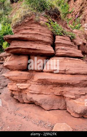 Hollicombe Beach Devon Foto Stock