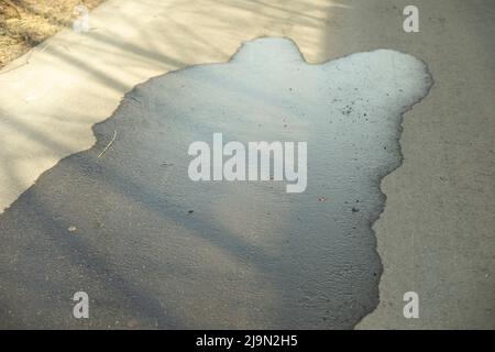 Pozzanghera su asfalto. Strada bagnata. Fuoriuscita di acqua nella zona pedonale. Grande pozzanghera. Foto Stock