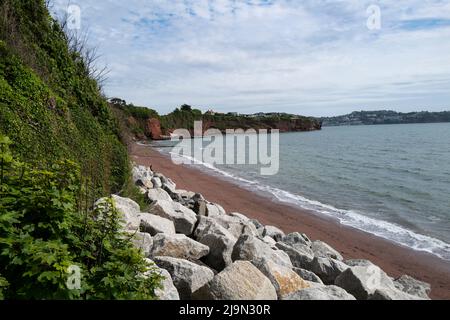Hollicombe Beach Devon Foto Stock