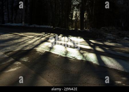 Luce su strada. Ombra da alberi. Dettagli strada. Ombre lunghe. Foto Stock