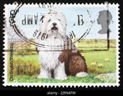 GRAN BRETAGNA – CIRCA 1978: Un francobollo stampato in Gran Bretagna mostra Old English Sheepdog, cani britannici, circa 1978 Foto Stock