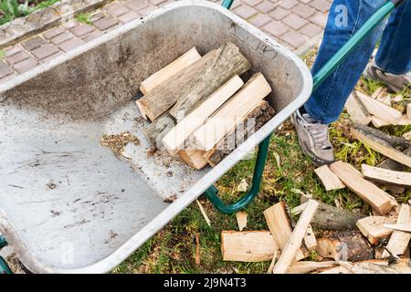 Legna da ardere per il riscaldamento domestico. L'uomo impila legna da ardere. Gli alberi sono stati tagliati e divisi in legna da ardere per uso come combustibile in caminetti e stov Foto Stock